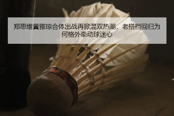 郑思维黄雅琼合体出战再掀混双热潮，老搭档回归为何格外牵动球迷心